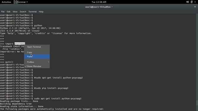 python ImportError: No module named psycopg2 смотреть онлайн