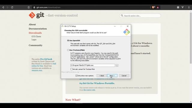 How to install git bash in Windows смотреть онлайн