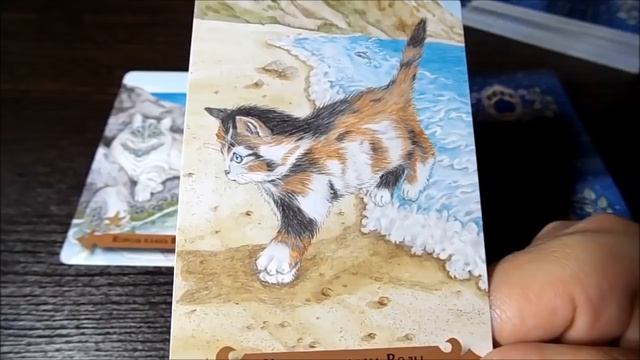 Гадание на 23 МАЯ 2017 года на ТАРО - КАРТА ДНЯ смотреть онлайн