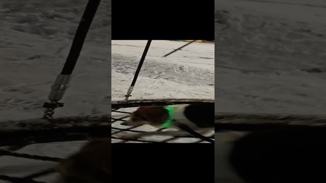 Бакс и качали