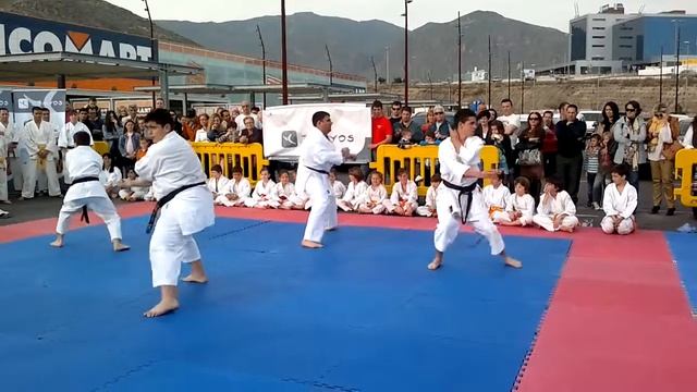 Exhibicion karate decathlon - bassai-dai смотреть онлайн