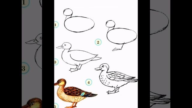 Как нарисовать утку. Если тебе удалось нарисовать утку то подпишись и поставь лайк. смотреть онлайн
