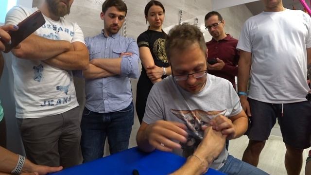 Анатомия стопы. Мышцы и сухожилия.