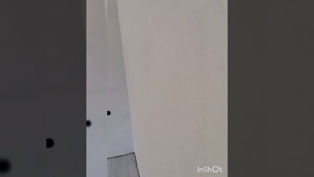 Фотообои объемные 3д перья (9-1218) Бесшовные обои. Отзыв клиента. смотреть онлайн