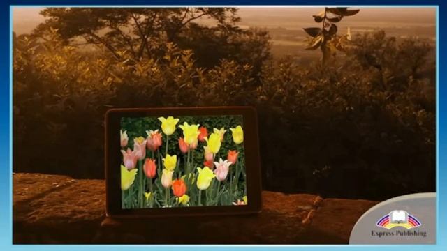 Action 10. Module 3. App Attack. смотреть онлайн