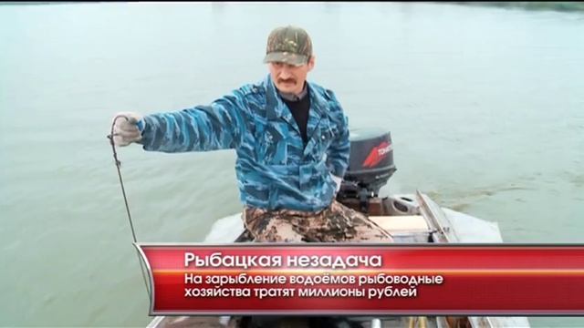 Рыбацкая незадача - "Утро с вами" 13.07.2015 смотреть онлайн