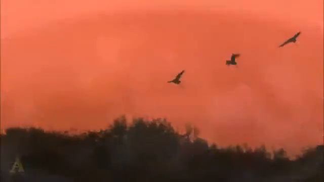 Осенняя Русь смотреть онлайн