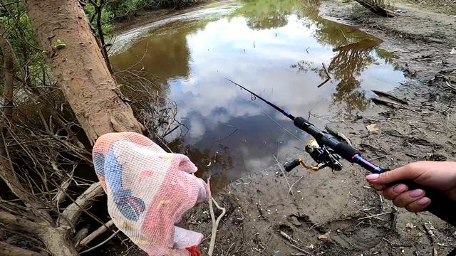 Текучка в Нижнем Новгороде. Рыбачу на спиннинг с поплавком. смотреть онлайн