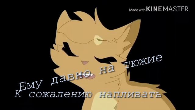Ты плачешь? Снова / Коты Воители смотреть онлайн