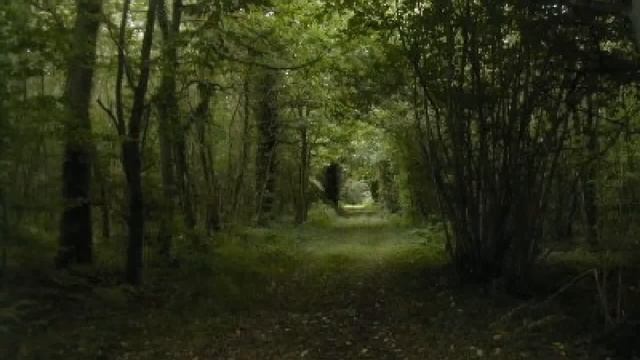 "The Way Through the Woods" by Rudyard Kipling (read by Tom O'Bedlam) смотреть онлайн