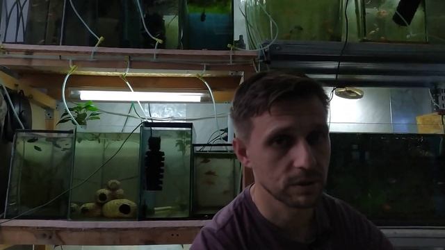 Нашёл помещение. С чем пришлось столкнуться? Тестирую беспроводной микрофон. смотреть онлайн