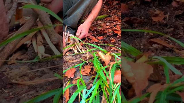 Бушкрафт шалаш в лесу смотреть онлайн