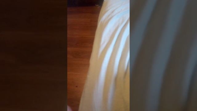 biologia desde cero soy tu fan смотреть онлайн