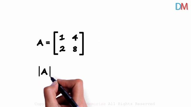 Singular Matrix and Non-Singular Matrix | Don't Memorise смотреть онлайн