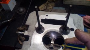 Установка Биг Бор 77мм. Замена ЦПГ Avantis Enduro 172FMM.