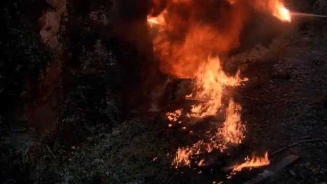 Чак Норрис с огнеметом смотреть онлайн