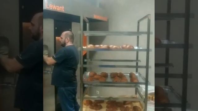 Печь Lewant Eco 800 смотреть онлайн