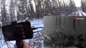 Мобильный тепловизор Xinfrared T2 Pro. Обзор, испытание. Поиск дичи на охоте. Рябчик, енот