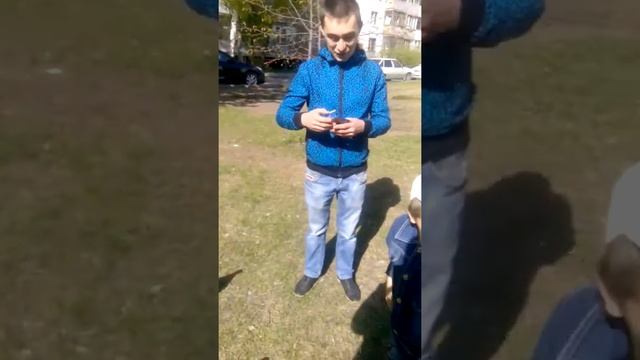 Голуби клюют семечки с рук смотреть онлайн
