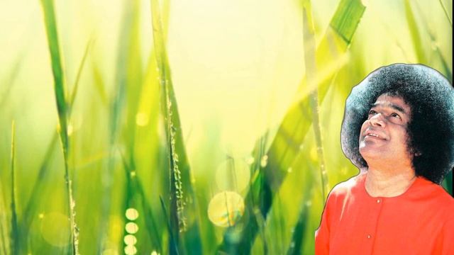 8 ч. Лила Кайвалья Вахини. Сатья Саи Баба. смотреть онлайн