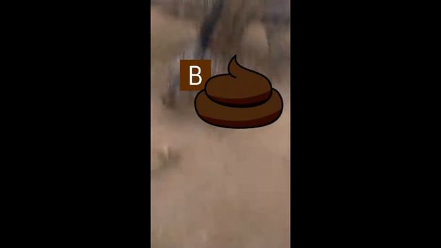 Влад Де Санта упал в говно смотреть онлайн