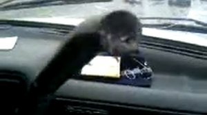 ГАЗ 3110 Оторвало рычаг КПП