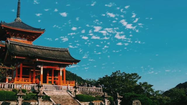 Alpha Waves Meditation Sounds - 2 HOURS - Deep Focus for Memory, Concentration & Brain Power смотреть онлайн