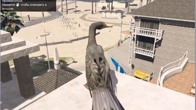 лофофоры!this is я баклан! смотреть онлайн