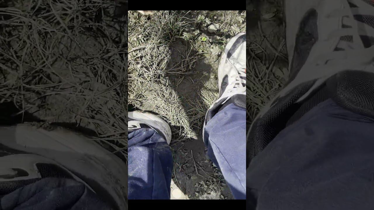 Жуть даже груз не успевает ложиться на дно #fishing #carpfishing #carp #нарыбалку #палатка #карп смотреть онлайн