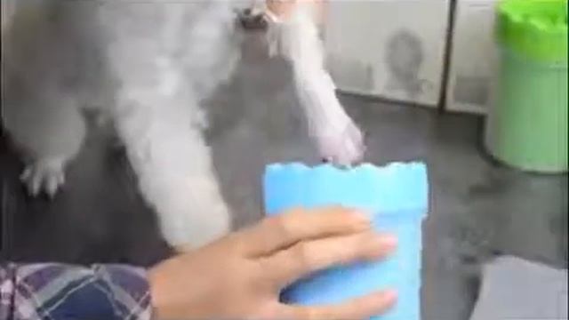 Силиконовая лапомойка для собак и кошек Soft gentle смотреть онлайн