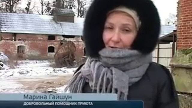 Видеозаписи Инициативная группа Помощи Животным ТИМВИЛЛЬ смотреть онлайн