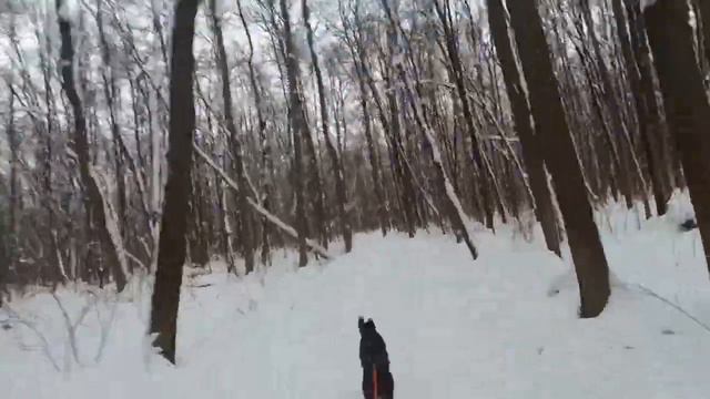 Тренировка с Ветром 16.01.2019 смотреть онлайн