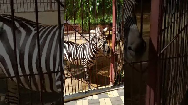 день в Липецке смотреть онлайн