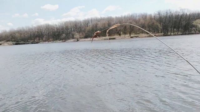 ПОДПИСЧИКИ,ДРУЗЬЯ,ПОЗДРАВЛЯЕМ С ВЕРБНЫМ ВОСКРЕСЕНЬЕМ!ПОЗДРАВЛЕНИЕ/ОТДЫХ/РЕЧКА/РЫБАЛКА. смотреть онлайн