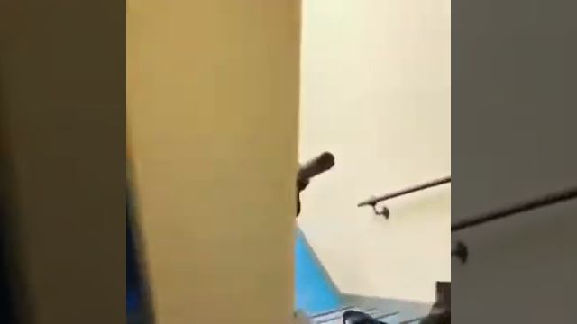 ПРИКОЛЫ ЛУЧШИЕ.Команда пингвинов спускается с лестницы (2020 АПРЕЛЬ) смотреть онлайн