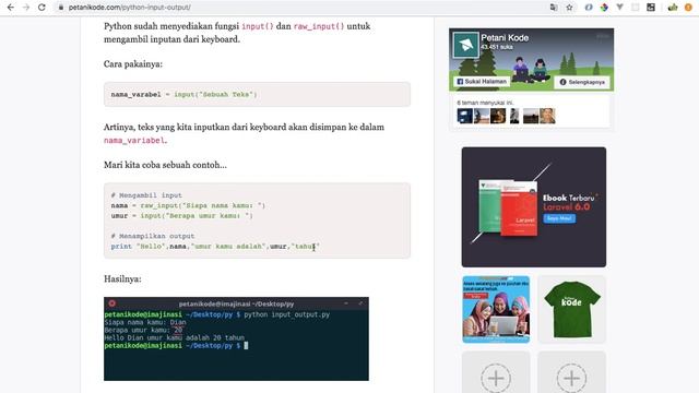 Python - Belajar Input смотреть онлайн