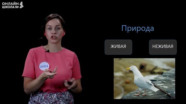 Видеоурок 4. Живая и неживая природа. Окружающий мир 2 класс смотреть онлайн