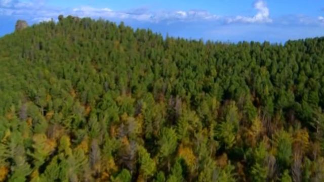 Днепров Анатолий - Россия смотреть онлайн