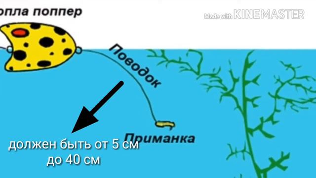 Попла-поппер смотреть онлайн