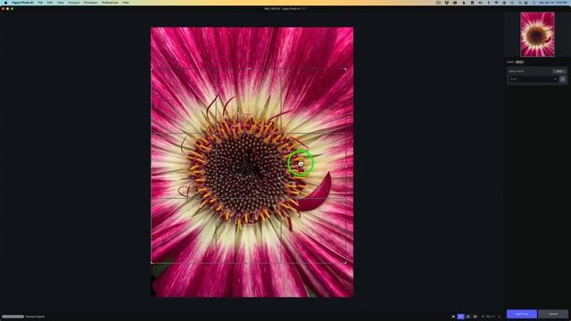 TOPAZ PHOTO AI (New Update Version 1.1.7) NEW Cropping Feature (beta) смотреть онлайн