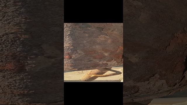 Была банка...