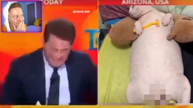 САМЫЕ СМЕШНЫЕ ВИДЕО из ТИК-ТОКА смотреть онлайн