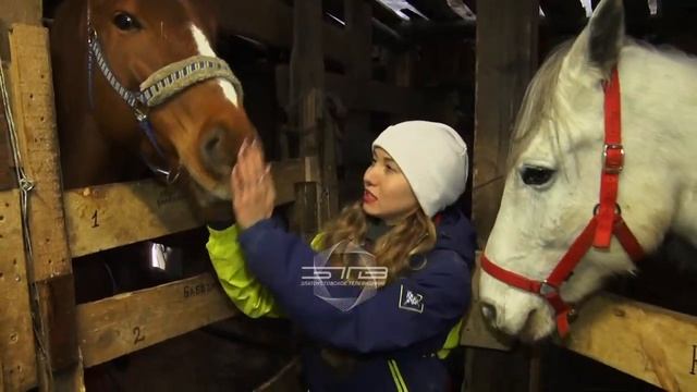 "ВЕСТНИК" 23.12.2020 смотреть онлайн