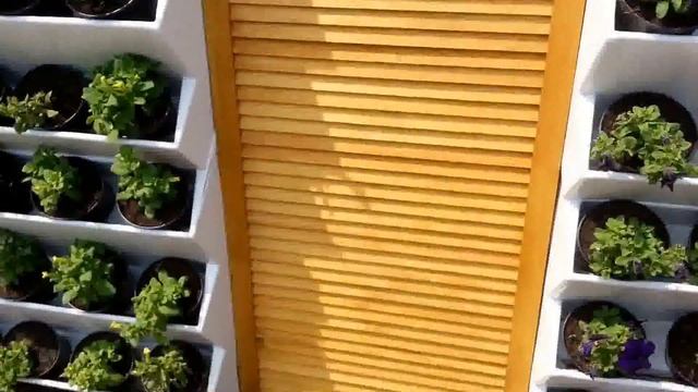 Фитомодуль BOXSAND 104х67 см для вертикального озеленения смотреть онлайн