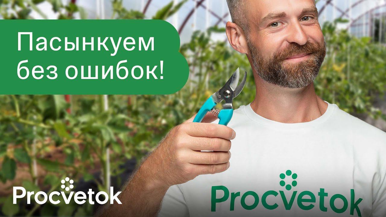 КАК ОБРЕЗАТЬ ПАСЫНКИ? Томаты формируем в 2-3 стебля, а огурцам оставляем усы! смотреть онлайн