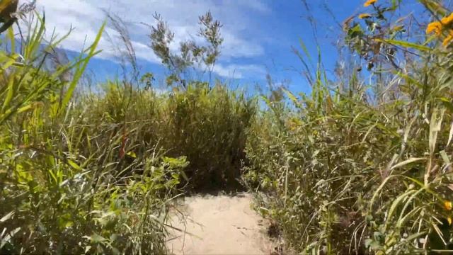 El Salvador Travel Guide | Travel Tips For Visiting El Salvador