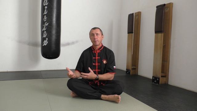 Хонг За Куен(Hồng Gia Quyền), Дон и Бон Ной Конг -начало пути , с чего и как начинать. смотреть онлайн