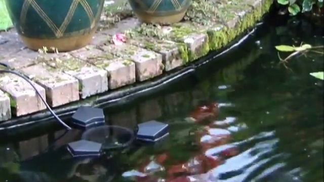 Pond Water Surface Skimmer (Boyu SCL-2500) Guide - All Pond Solutions смотреть онлайн