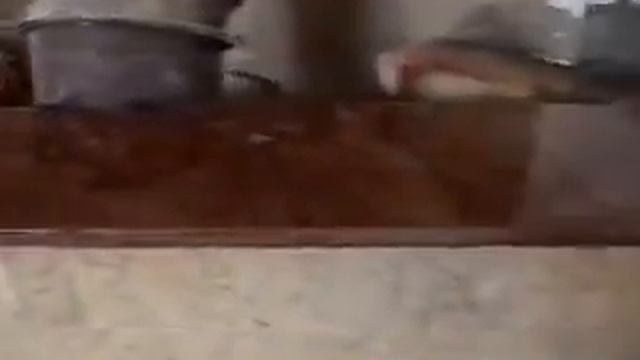 камины смотреть онлайн