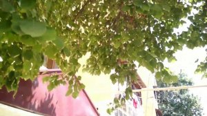 4 МИКРОРАЙОН 6-7 ДОМ НАМАНГАН | По просьбе Подписчика